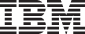 IBM logo